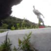 Digital Pinhole