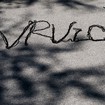 Vrvica